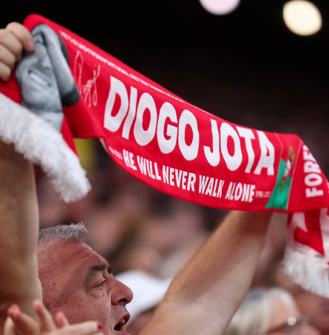 cyWLJ, img cyWLJ, img