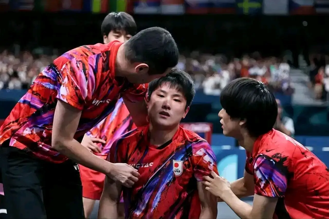 席韩丹法各, stron 席韩丹法各, stron